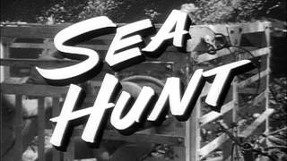 Sea Hunt 1×13 The Shark Cage