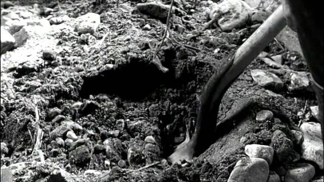 Mackenzie’s Raiders Ep 30 “Drought”
